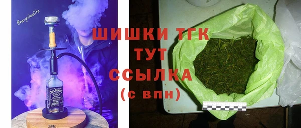 индика Сясьстрой