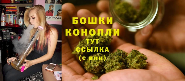 спиды Липки