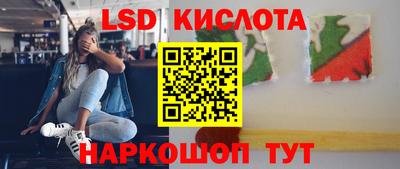 прущие грибы Нальчик