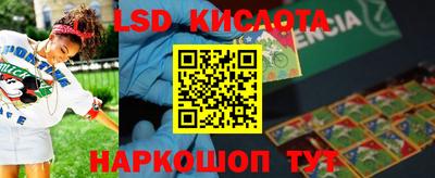 прущие грибы Нальчик