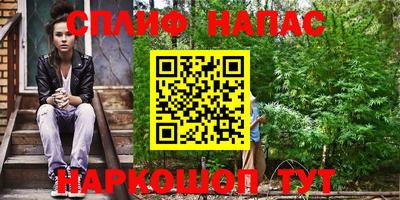прущие грибы Нальчик