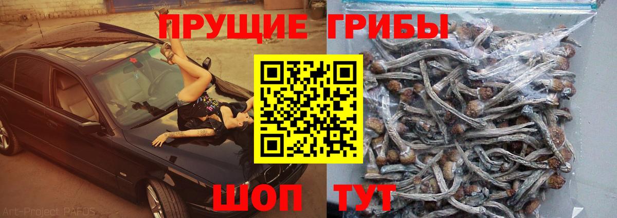 Галлюциногенные грибы GOLDEN TEACHER Троицк