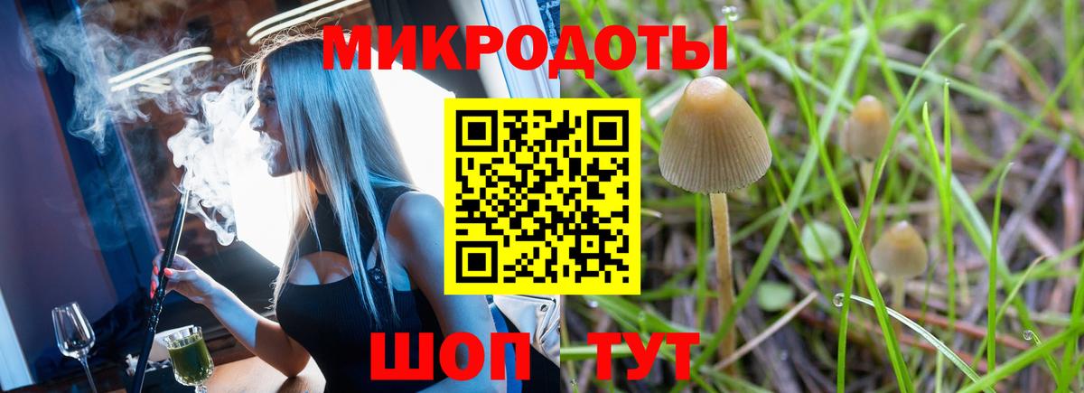 Псилоцибиновые грибы GOLDEN TEACHER  Вход с VPN  Троицк 